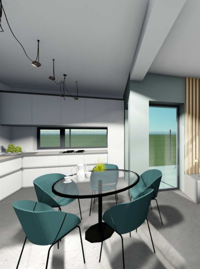 Maier Home Concept Timis
